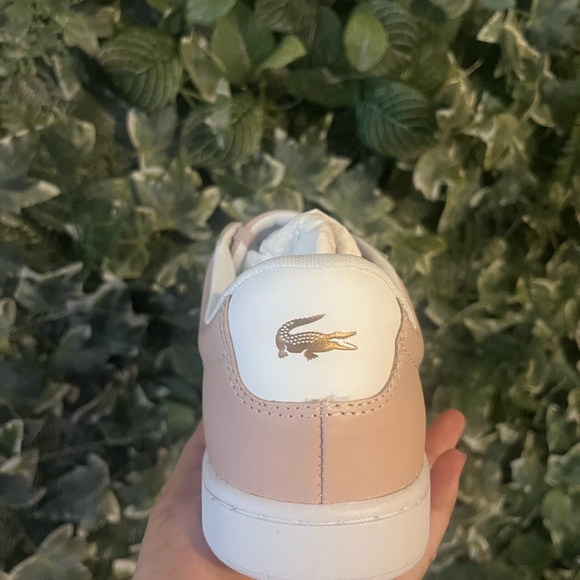 Brand New Lacoste shoe - Picture 3 of 5